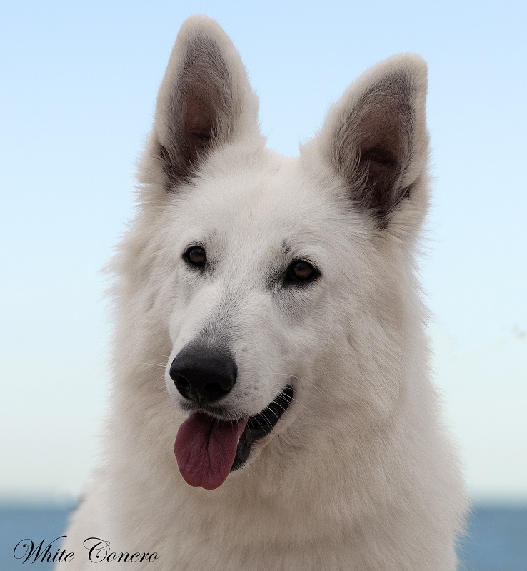 DSC_0119.jpg