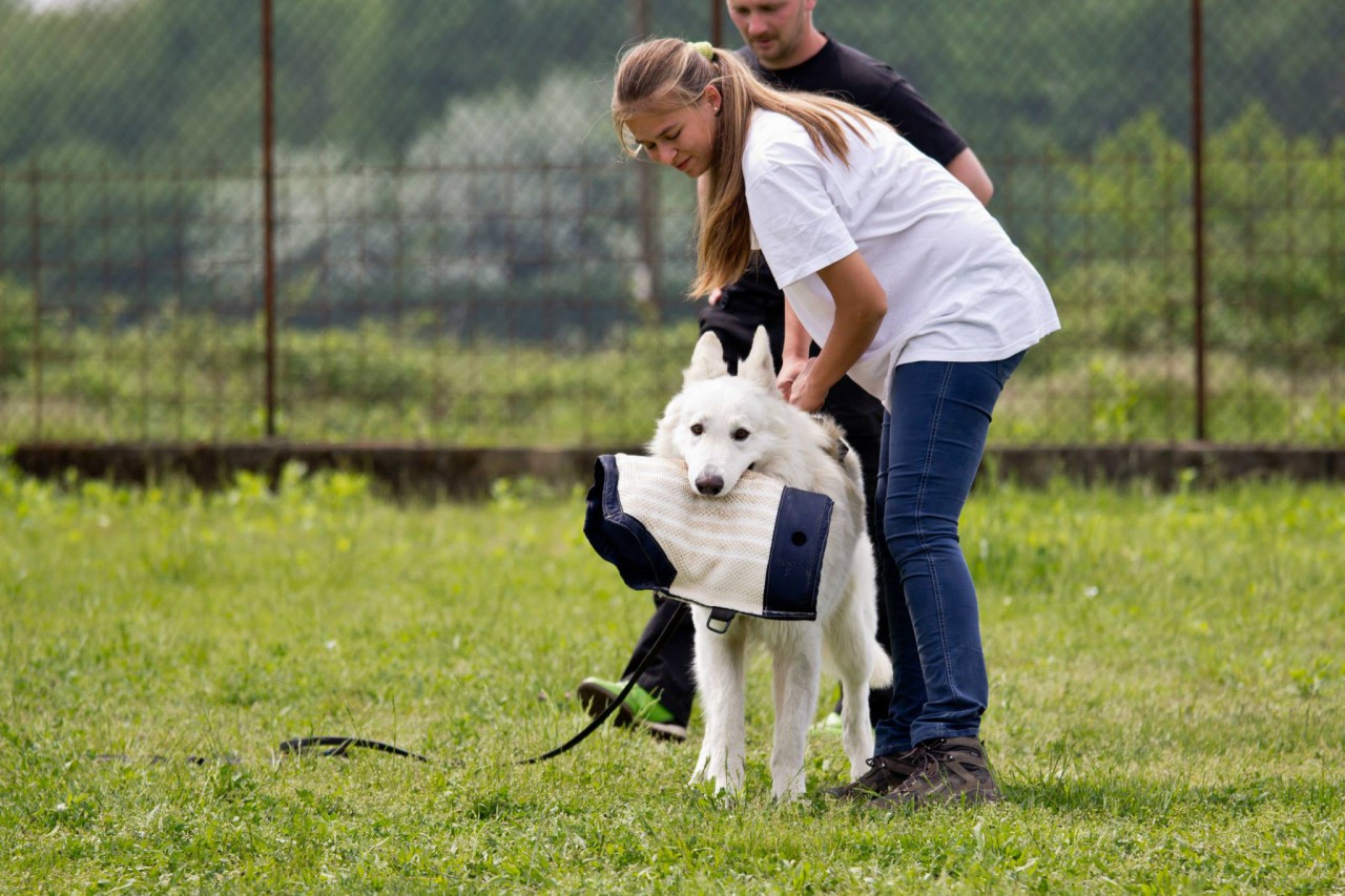 Dhaki_allenamento_IPO_(2).jpg